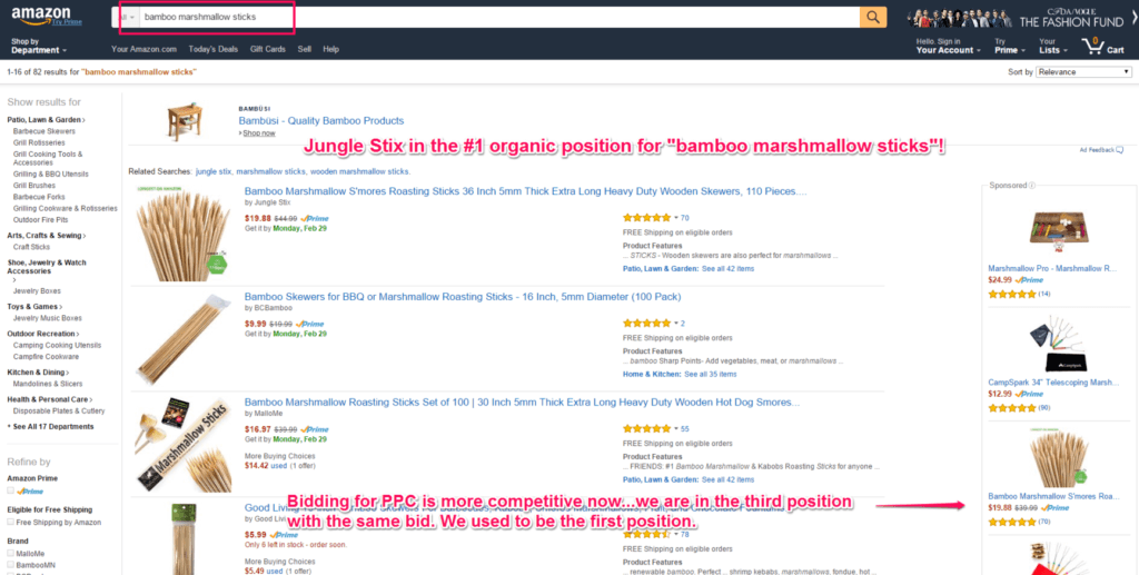 jungle-stix-paid and organic search result