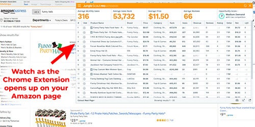 Jungle scout estimator