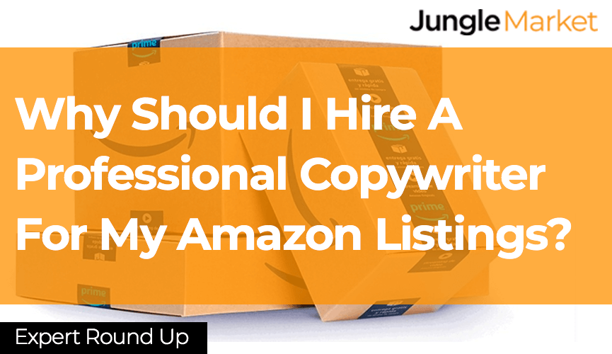 Why Should I Hire A Professional Copywriter For My Amazon Listings? - Expert-Round-Up-Template-Blog-Inside