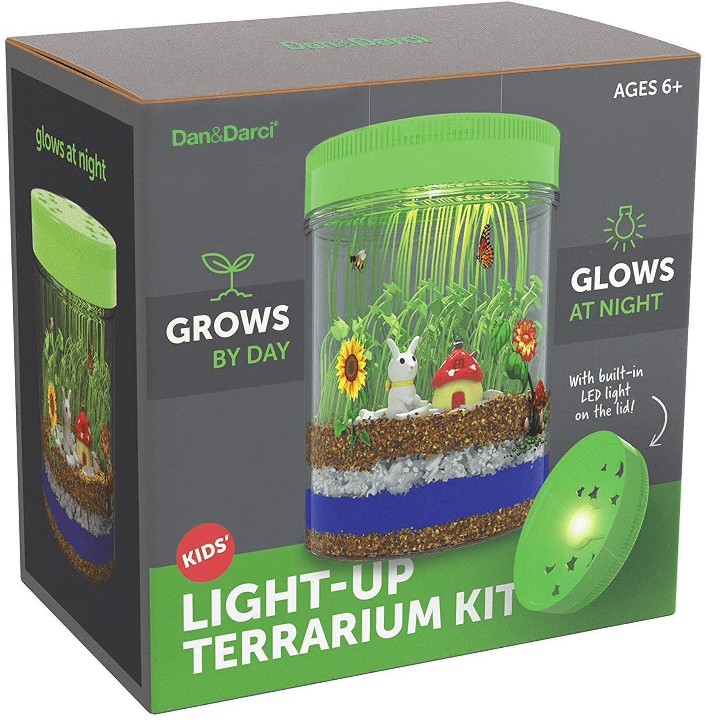 STEM gifts: terrarium