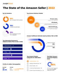 State of the Amazon Seller 2022 Infographic