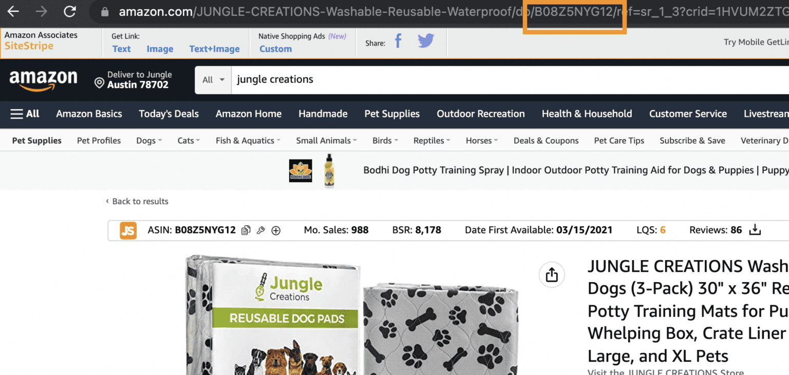 Amazon ASIN and Reverse ASIN Lookup What is it and how does it work?