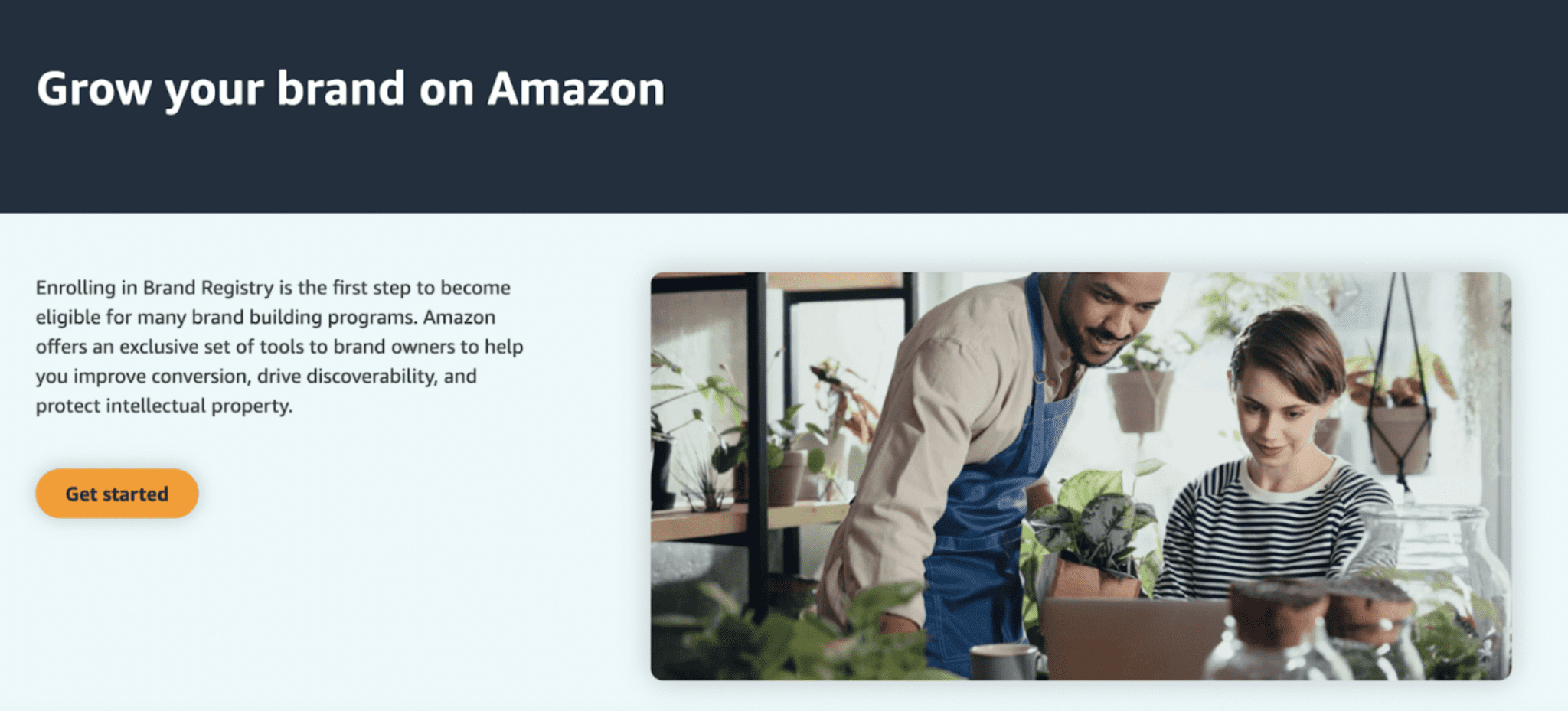 Amazon Brand Registry Cost, Benefits, & Requirements Jungle Scout