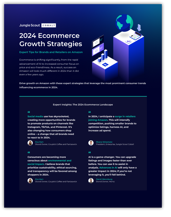 2024 Ecommerce Strategies for Brands and Retailers on