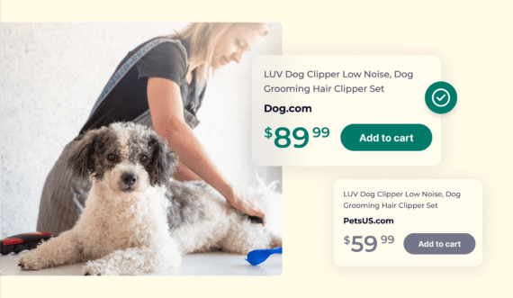 MAP Pricing Enforcement: How To Protect Your Brand on Amazon