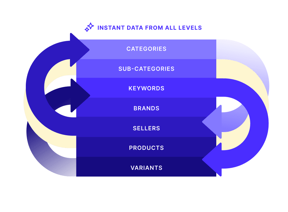 Jungle Scout Cobalt benchmarking analysis report dashboard